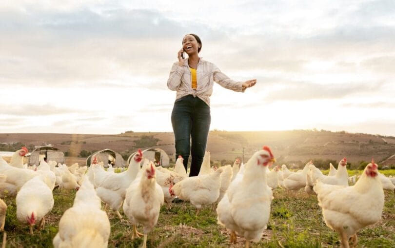 Canada-Poultry-Farm-Workers